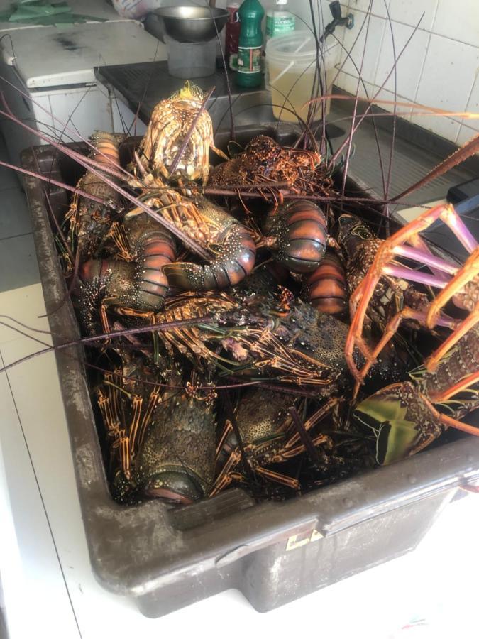 Paraiso Dos Corais Guarajuba Bagian luar foto